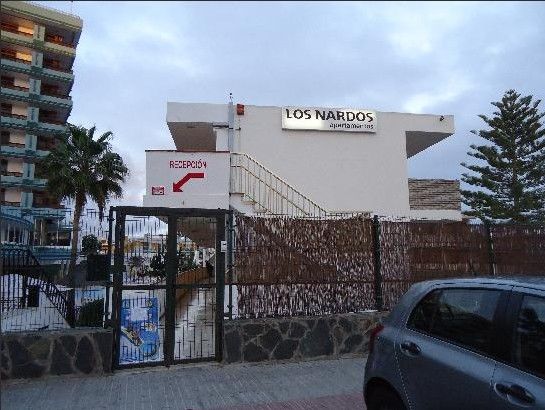 Los Nardos Playa del Inglés Exteriör bild